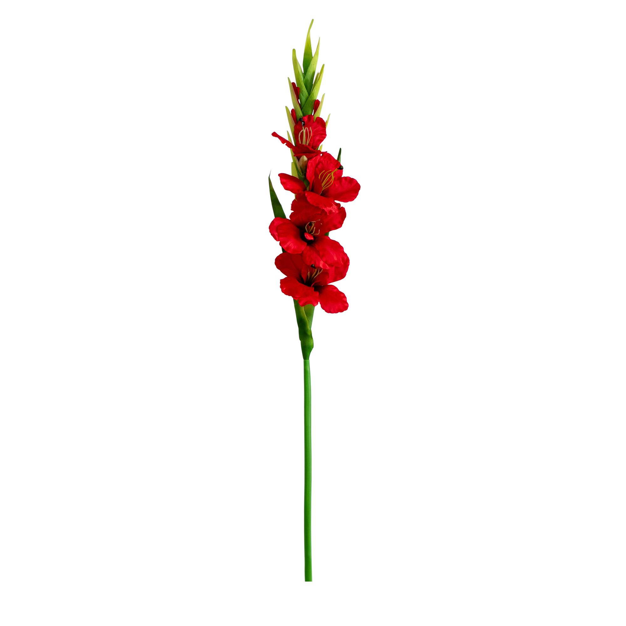 45" Gladiolus Flower Stems
